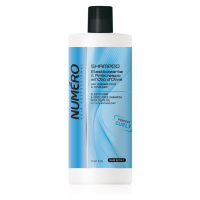 Brelil Professional Elasticizing & Frizz-Free Shampoo šampon na vlnité vlasy 1000 ml