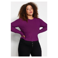 Trendyol Curve Damson Bodycone Ribbed Knitted Blouse