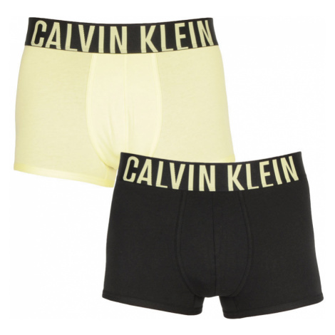 2PACK pánské boxerky Calvin Klein vícebarevné (NB2602A-P18)