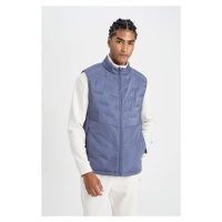 DEFACTO Fit Men's Blue Water Repellent Regular Fit Normal Cut Stand Collar Zippered Pocket Quilt