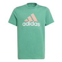 Dětské tričko Big Logo Tee Jr IB8776 - Adidas