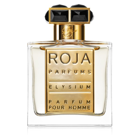 Roja Parfums Elysium parfém pro muže 50 ml