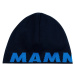 Čepice Mammut Logo Beanie Barva: světle modrá