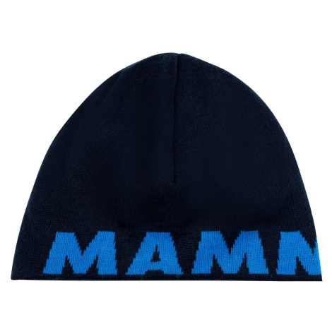 Čepice Mammut Logo Beanie Barva: světle modrá