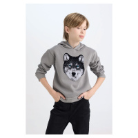 DEFACTO Boy Regular Fit Hooded Printed Sweatshirt