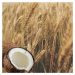 Kondicionér na poškozené vlasy Pšenice a kokosové mléko Aroma 400 ml