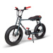 E-BIKE LIL'BUDDY Anthracite 300 Wh