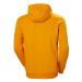 Helly Hansen Logo Hoodie 33977-328 pánské