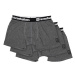 HORSEFEATHERS Boxerky Dynasty 3Pack - heather anthracite GRAY