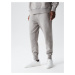 Diverse Men's sweatpants ATH SP 323