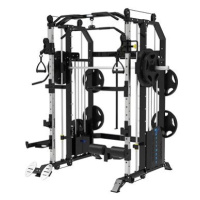 TZ Fitness Multifunkční TZ Multi-Functional Smith Machine (cihličkové závaží 2x 100 kg)