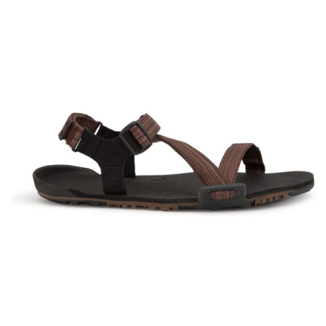 Xero Shoes Z-TRAIL EV M Multi Brown | Pánské barefoot sandály