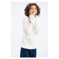 DEFACTO Boy Regular Fit Crew Neck Knitwear Sweater