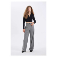 DEFACTO Wide Leg Wide Leg High Waist Basic Plain Standard Length Trousers