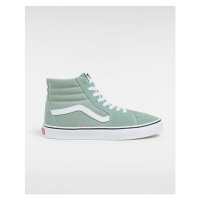 VANS Color Theory Sk8-hi Shoes Unisex Green, Size