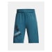 Under Armour Kraťasy UA Prototype 2.0 Logo Shorts-BLU - Kluci