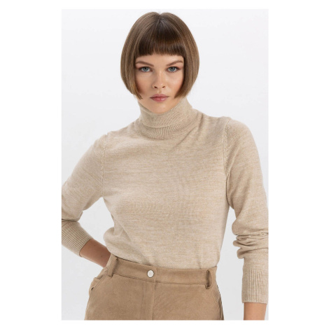 DEFACTO Relax Fit Turtleneck Cashmere Textured Extra Soft Basic Knit Sweater