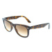 Ray-ban Occhiali da Sole Wayfarer Ease RB4340 710/51 Hnědá