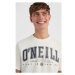 O'Neill STATE MUIR Pánské tričko, bílá, velikost