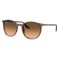 Ray-Ban RB2204 13953B - L (54)