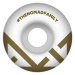 SK8 KOLA NOMAD Crown Logo Gold Y shape - bílá