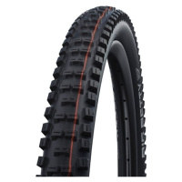 Schwalbe Big Betty 26