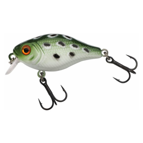 Berkley Wobler Pulse Fry Shallow 3,8cm - Frog