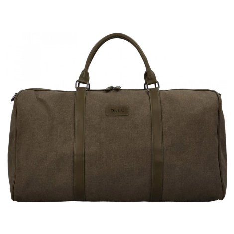 Cestovní koženková dámská taška Reyna, zelená Diana & Co