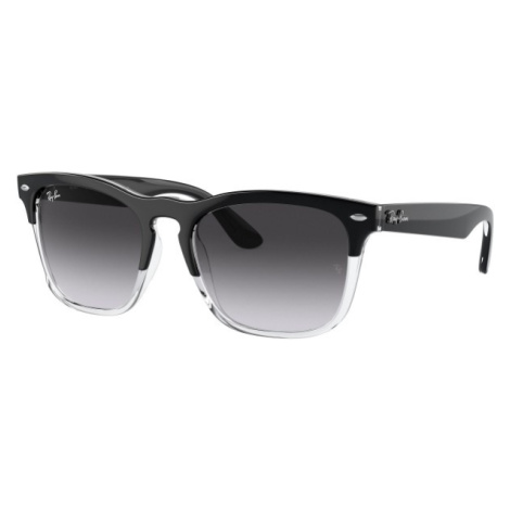 Ray-Ban Steve RB4487 66308G - ONE SIZE (54)