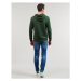 Jack & Jones JJELOGO SWEAT HOOD 2 COL 23/24 Zelená