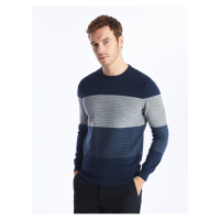 LC Waikiki Crew Neck Long Sleeve Men's Knitwear Sweater