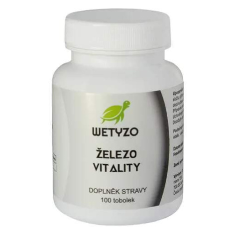 HCY Vitality Železo 100 tbl