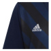 Adidas Entrada 22 Graphic Jersey ruznobarevne