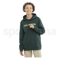 Salomon Outlife Logo Winter Hoody U LC1970000 - ponderosa pine/plaza taupe