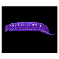 Libra Lures Goliath Purple with Glitter - 3cm 15ks