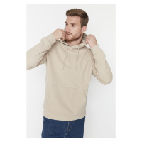 Trendyol Beige Basic Regular/Normal Cut Hooded Fleece Inside Sweatshirt