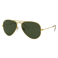 Ray-Ban Aviator RB3025 W3234 55