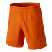 Dynafit React 2 Dst M 2/1 Shorts 70674-4861 Oranžová