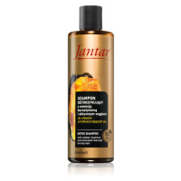 Farmona Jantar Amber Essence čisticí detoxikační šampon na mastné vlasy 300 ml