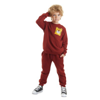 Denokids Tiger Boy Tracksuit Set