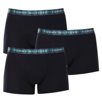 3PACK pánské boxerky Tommy Hilfiger vícebarevné (UM0UM02702 0TT)