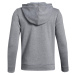 Dětská mikina Under Armour Cotton Fleece Šedá / Černá