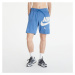 Nike French Terry Shorts Blue