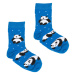 Kabak Ponožky Kids Panda Blue