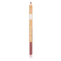 Astra Make-up Pure Beauty Lip Pencil konturovací tužka na rty natural odstín 05 Rosewood 1,1 g