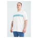 DEFACTO Large Size Crew Neck Cotton Combed Combed T-Shirt