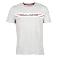 Tommy Hilfiger CLASSIC-CN SS TEE PRINT Pánské tričko, šedá, velikost