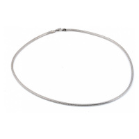 Dámský stříbrný náhrdelník hádek AGS1048/42 42 cm
