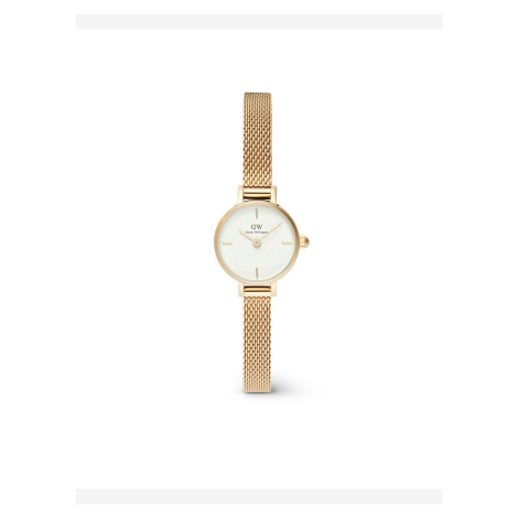 Petite Mini 19 Evergold Hodinky Daniel Wellington