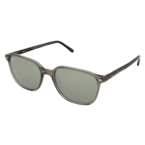 Ray-Ban Leonard RB2193 66355C